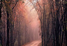 [英超]努涅斯精准直塞 若塔低射扳平比分.