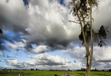 旺财28:跑马拉松时“空中漫步”为哪般?医生:已是身体最后的求生信号|封面科考队.