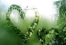 超级杯之王!申花补时奇迹逆转+连续2年狙击海港 5次夺冠超广州队.