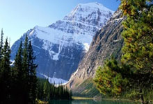 旺财28:小萨博尼斯再伤退贝恩44分 莫兰特休战国王擒灰熊.