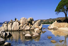 意料之外、情理之中 柯丝蒂·考文垂当选国际奥委会主席央视新闻客户端.